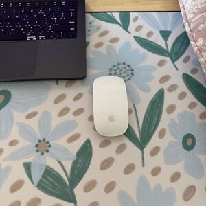 Apple Bluetooth Magic Mouse